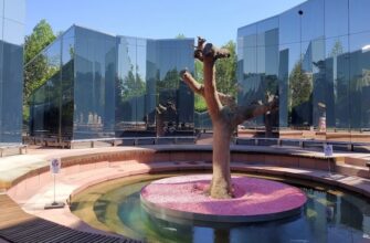 Деревья в парке «Краснодар»